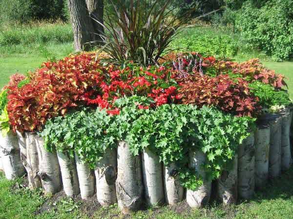 Ideas de bordes de jardín para parterres