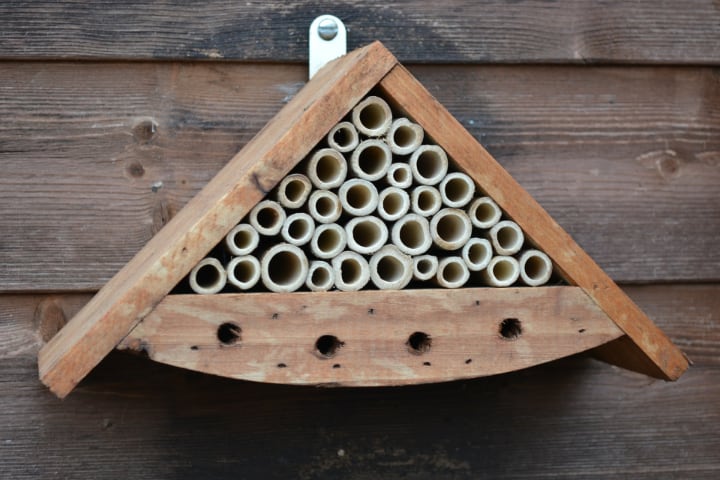 casa de abejas triangular