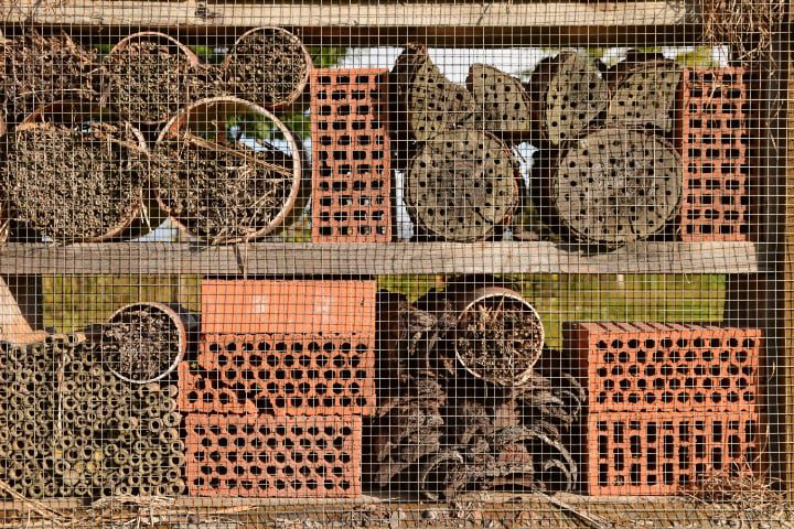 casa de abejas de bloques de hormigón