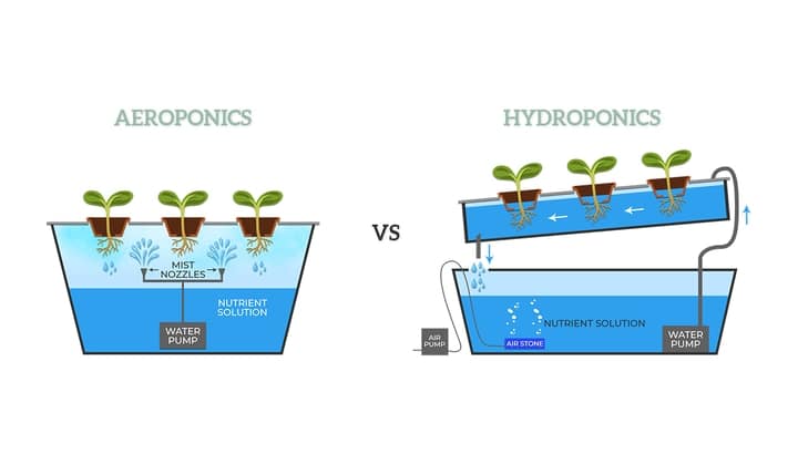 diagrama de aeroponía versus hidroponía