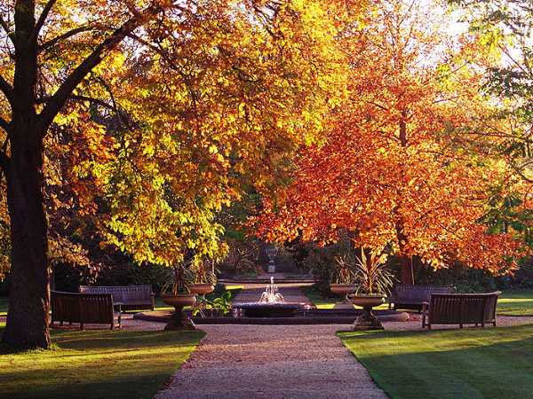 Jardín Botánico de Oxford