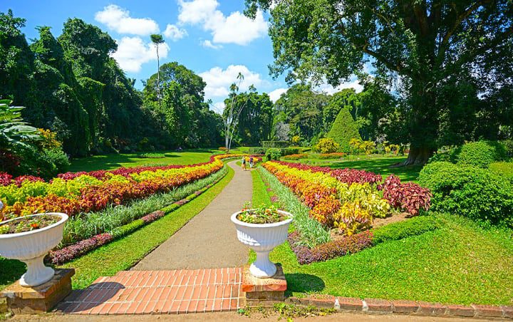 real jardín botánico