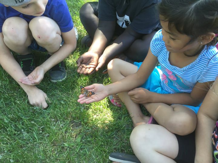 los niños aprenden sobre las mariposas