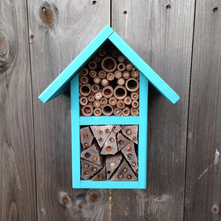 pequeña casa de abejas en la valla