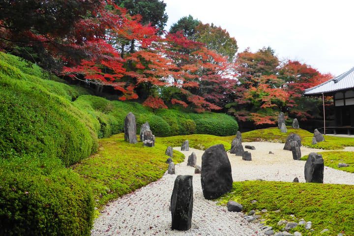 jardín de musgo en japón