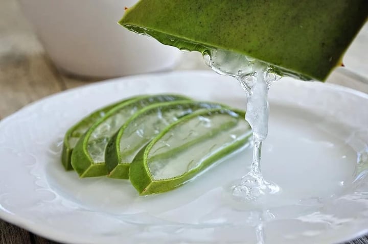 extracción del gel de aloe vera para el tónico de aceite de bergamota