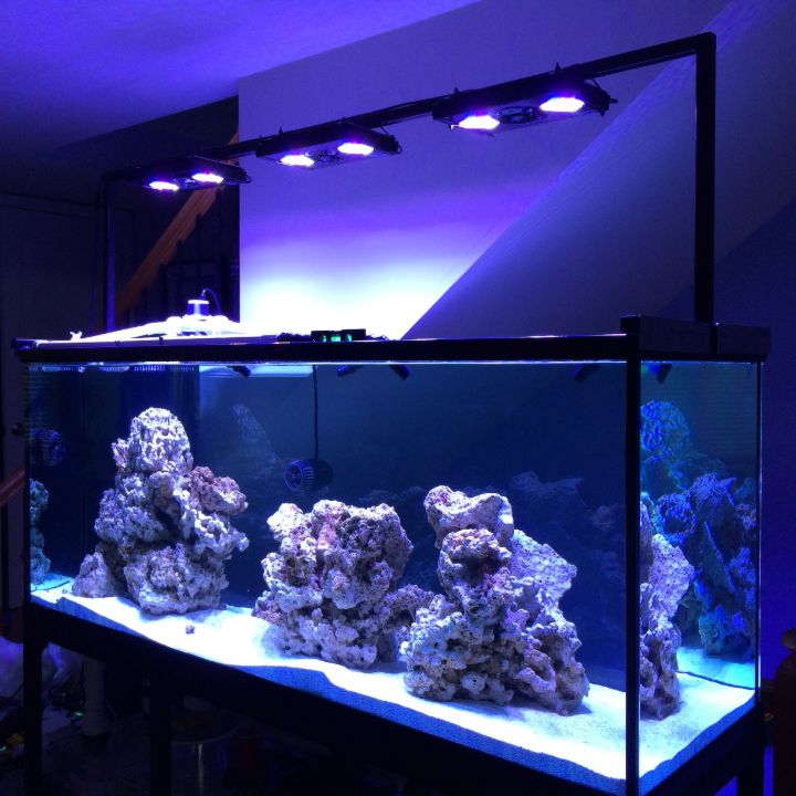 luces para acuarios de peces