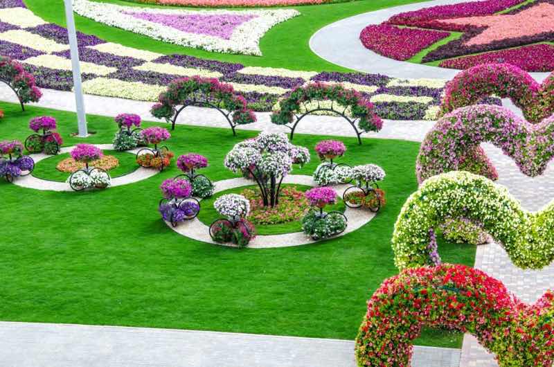 Ideas para jardines de flores de rosas