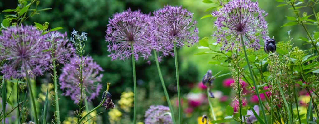 16 fantásticas ideas de jardines florales que te enamorarán