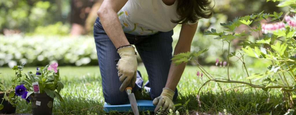 10 importantes beneficios de la jardinería que mejoran la salud en general