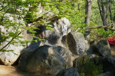 31 mejores rocas para el jardín y consejos para elegir rocas para el jardín