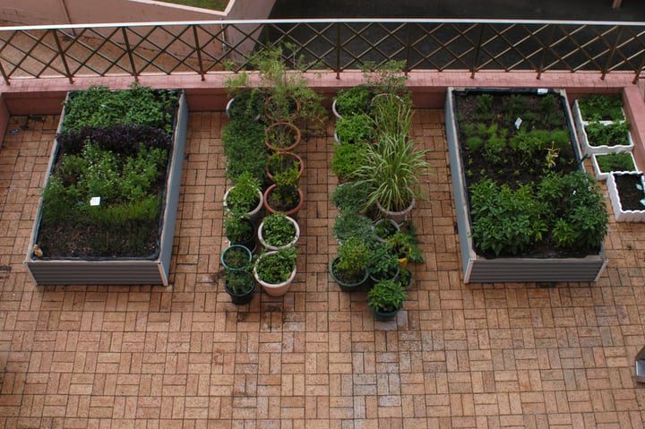 jardín de hierbas en terraza en pequeñas jardineras