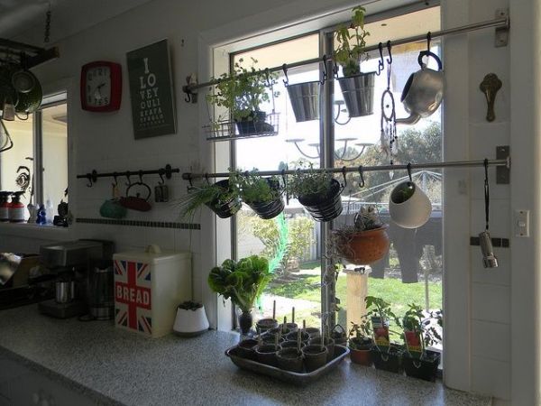 Jardinería de interior en la cocina