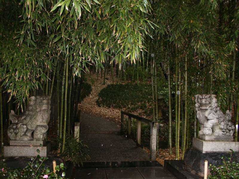 ideas para jardines de bambú