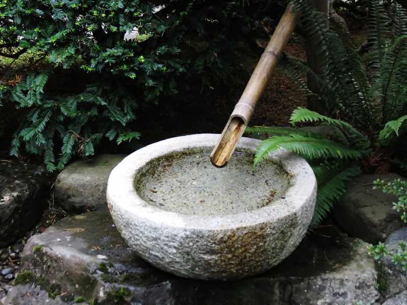 fuente de bambú jardín japonés