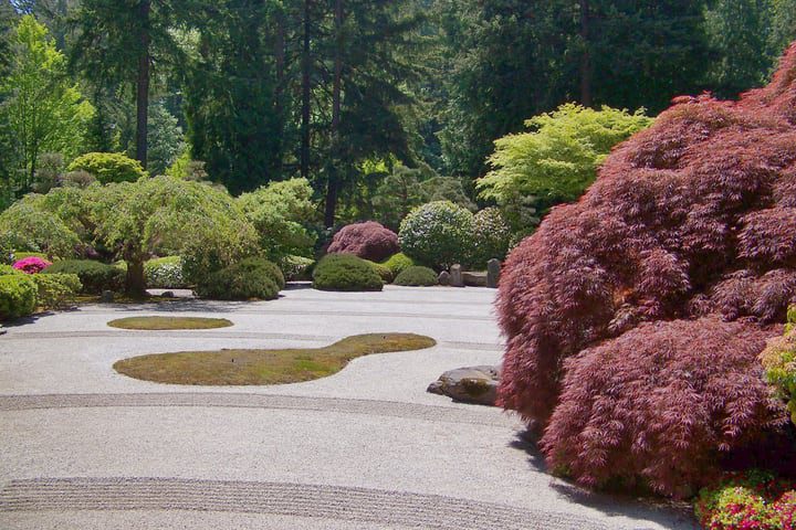 jardín japonés asimétrico