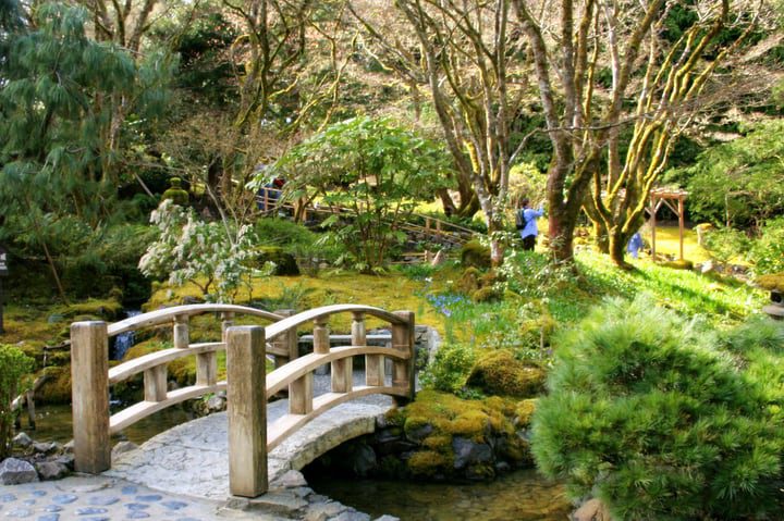 jardín japonés con roca, musgo y puente