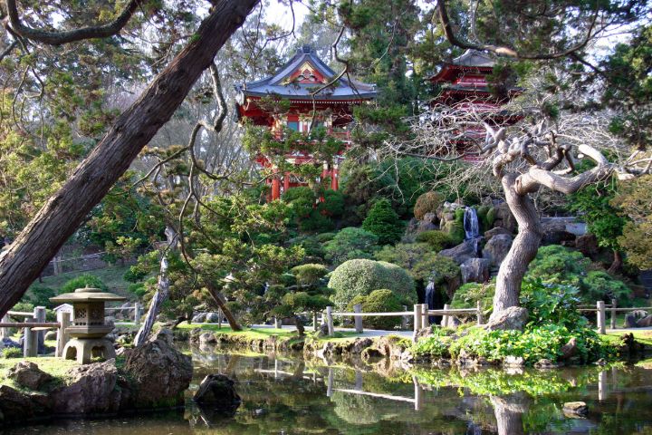 jardines japoneses san francisco