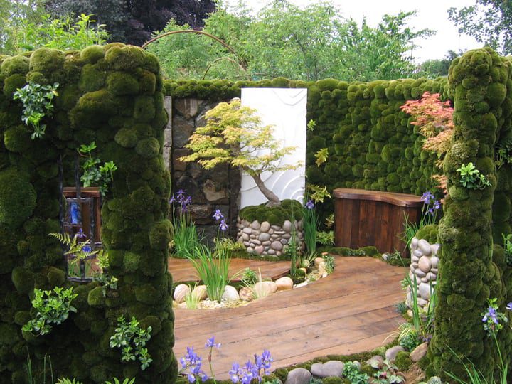 pequeño jardín de musgo japonés
