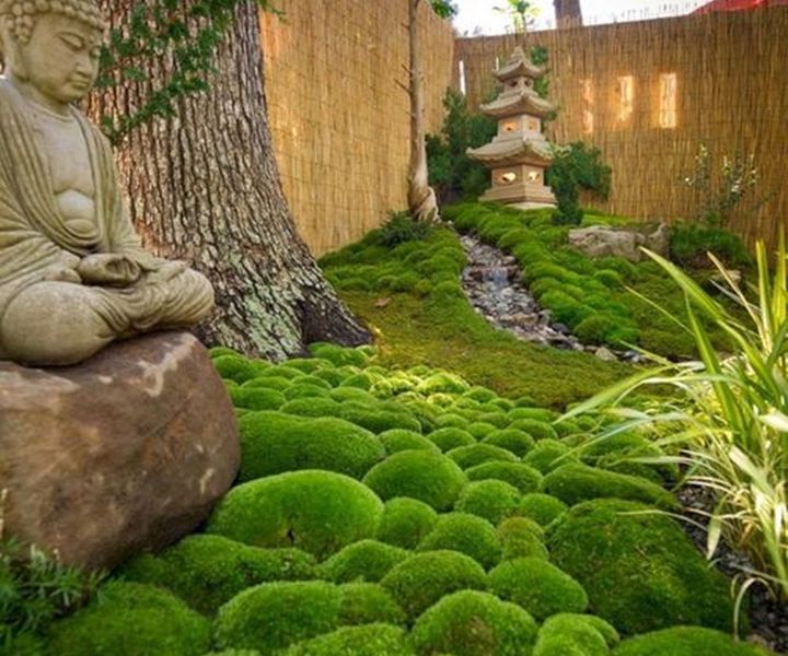 jardines japoneses chicago