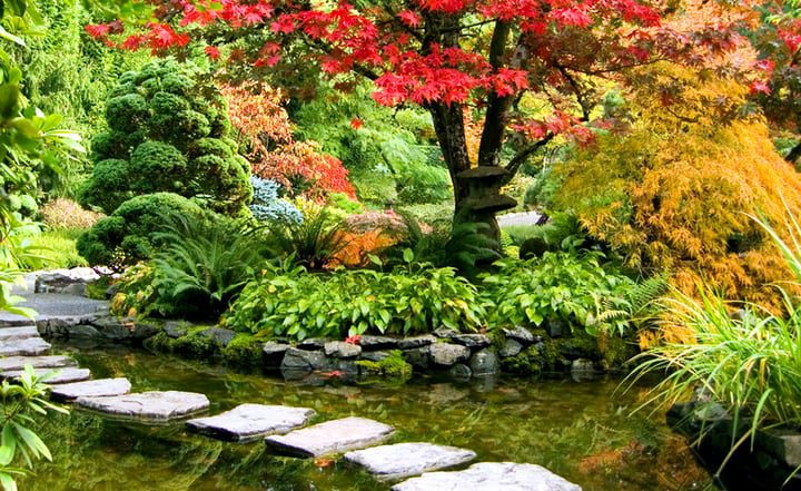 jardín oasis japonés