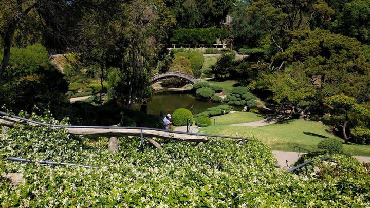 jardín japonés con puente y estanque de agua