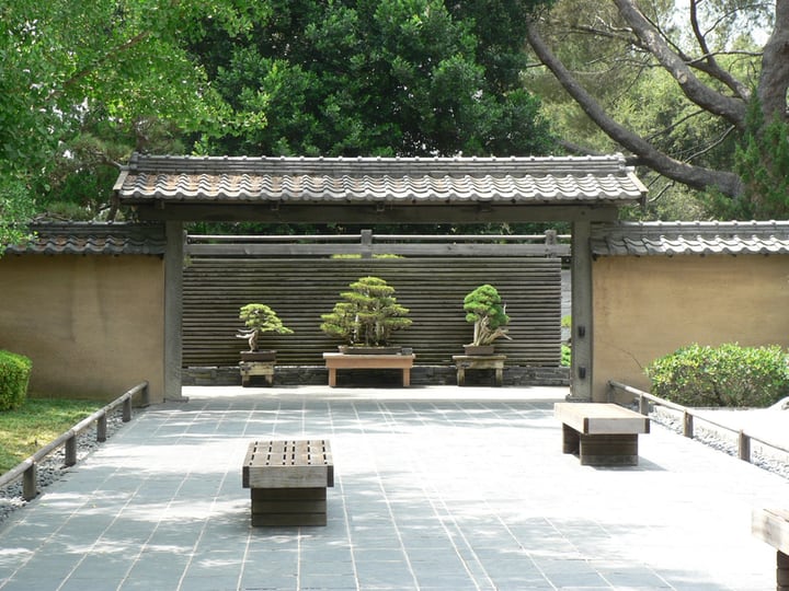 jardín japonés de bonsáis