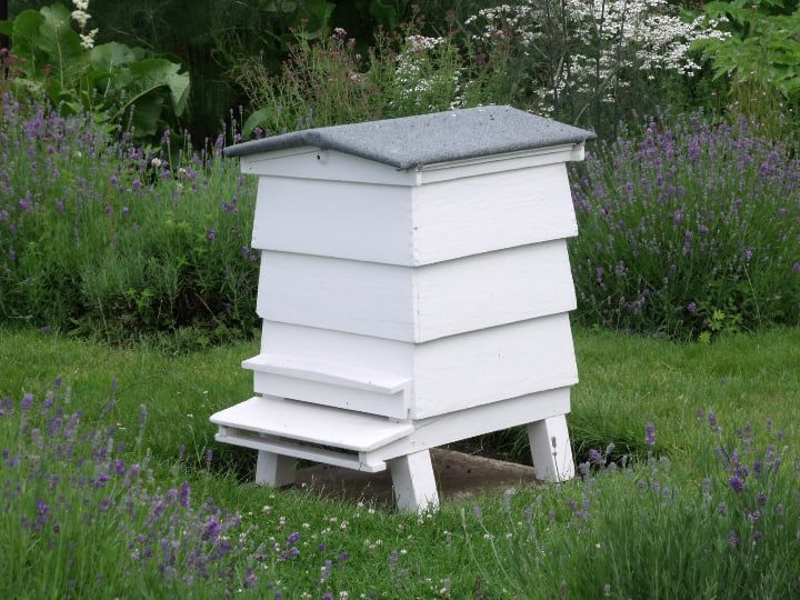 casa de las abejas en el jardín