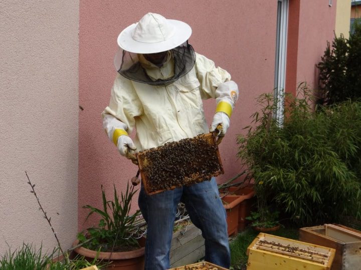 traje de abeja