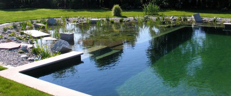 piscinas naturales diseño paisajístico