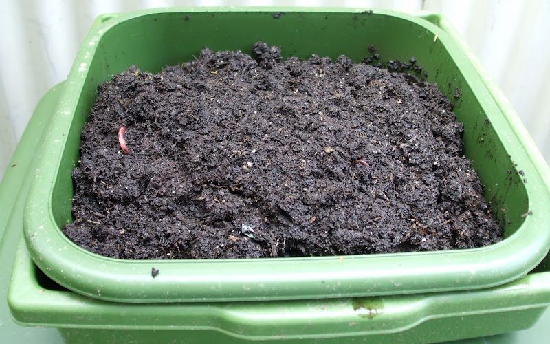 bandeja de compostaje para el cultivo de setas