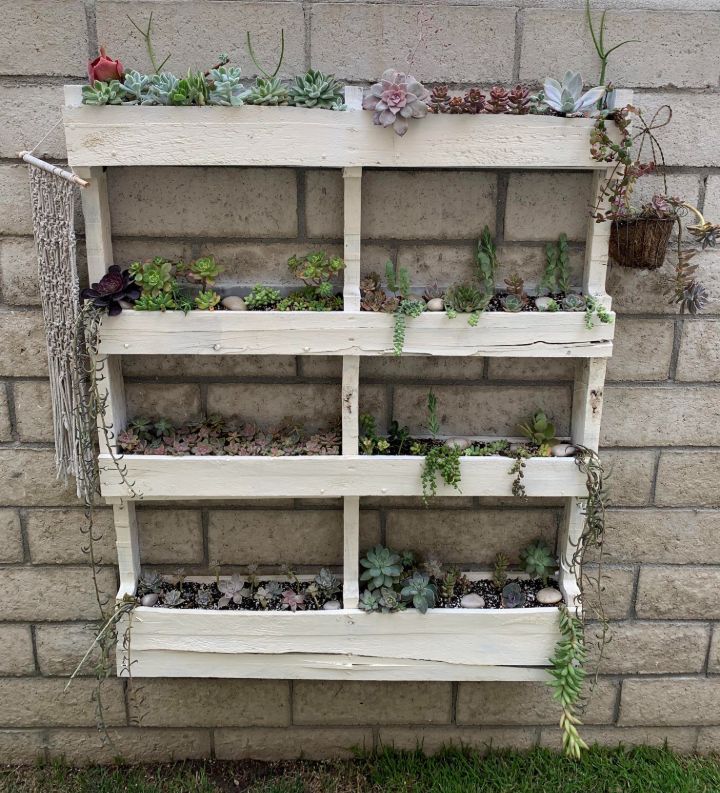 caja de pared para plantas