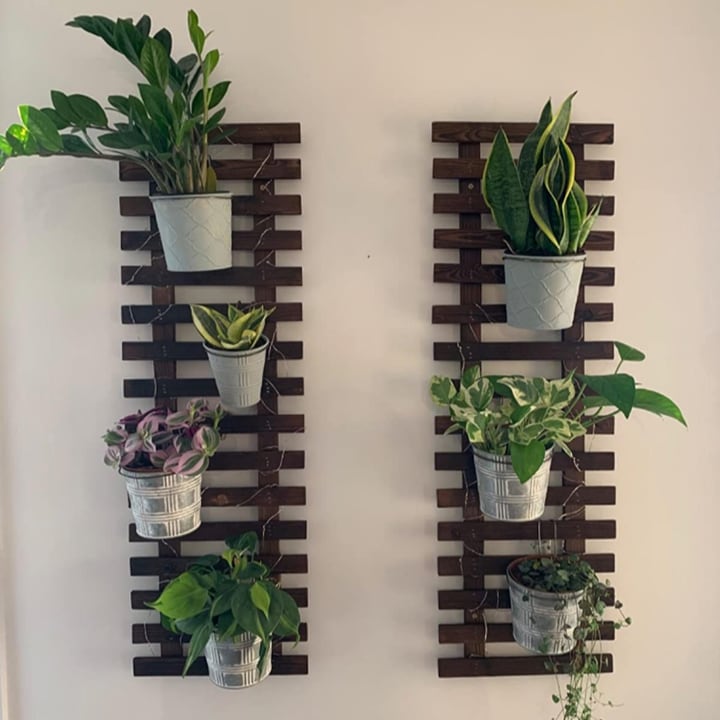 muro de plantas vivas con soporte de palets