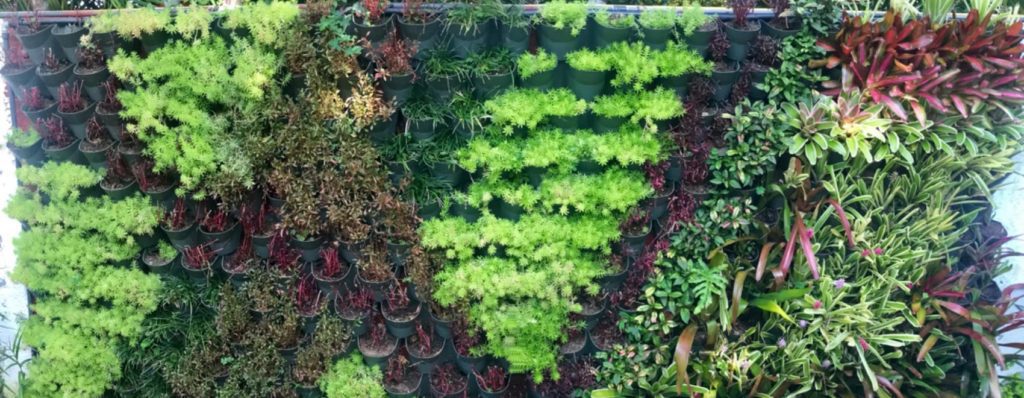 47 formas geniales de hacer un muro de plantas