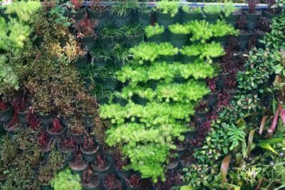 47 formas geniales de hacer un muro de plantas