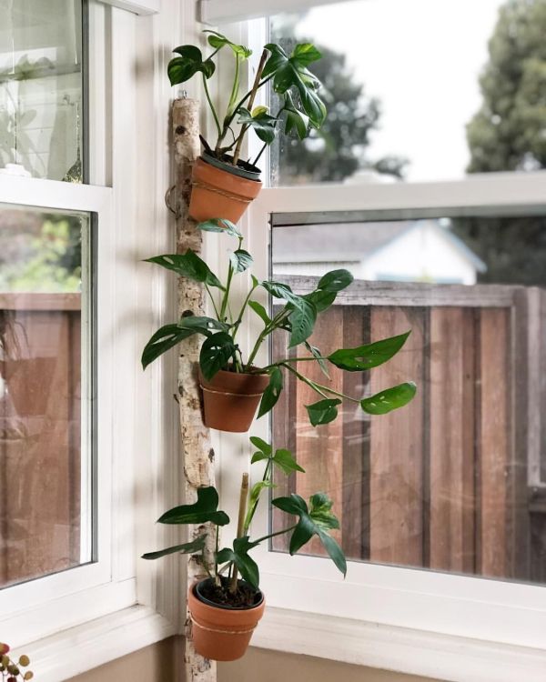 soporte para plantas ventana