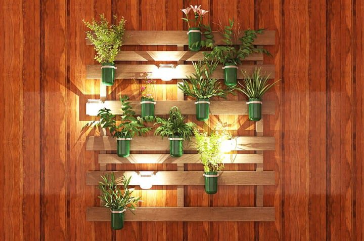 plantas diminutas en la pared