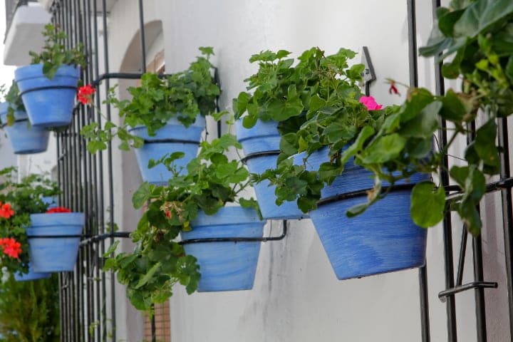 jardín de pared con plantas de exterior