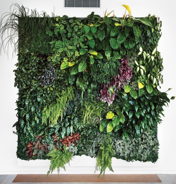 diseño de pared vegetal