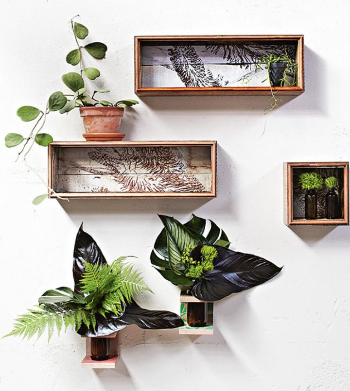ideas de estantes para paredes vegetales