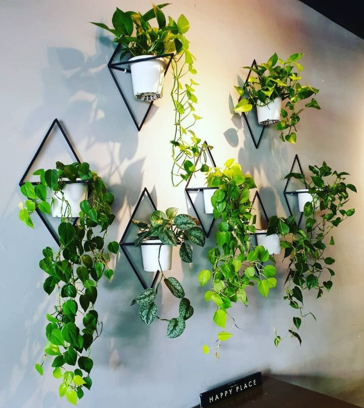 colgador de pared para plantas de interior