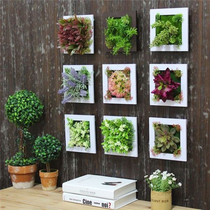 marco de pared para plantas