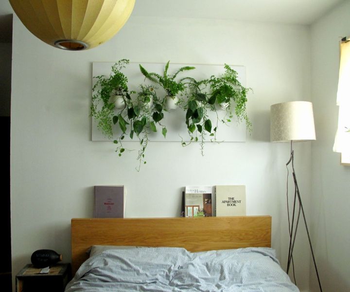 pared con plantas en el dormitorio