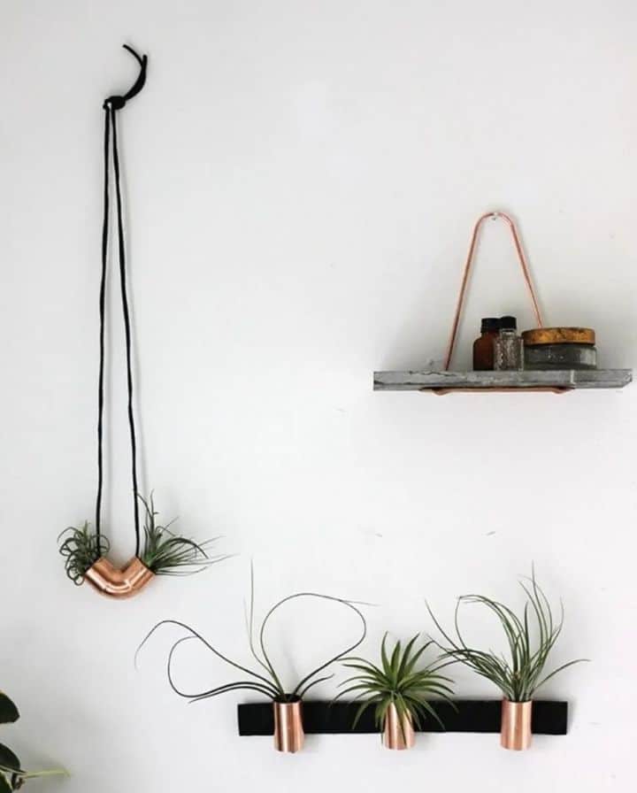 jardineras de pared para plantas