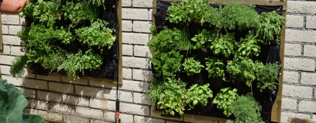 41 ideas increíbles para muros de plantas y cómo construir un muro de plantas de forma individual