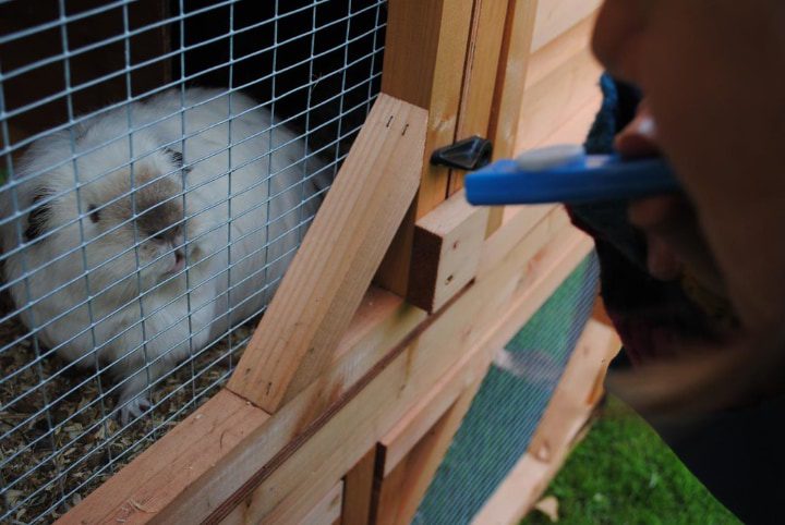 jaula de madera para conejos de exterior