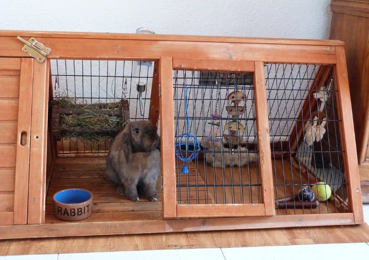 jaula de madera para conejos
