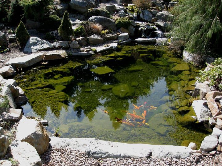 jardín de rocas con estanque