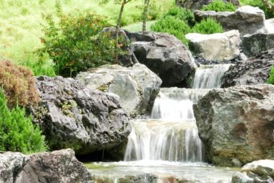 Guía fácil de jardinería de rocas y 5 consejos para hacer vibrar tu jardín