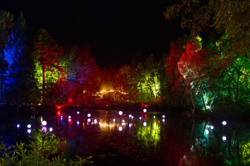 luces de jardín del bosque encantado